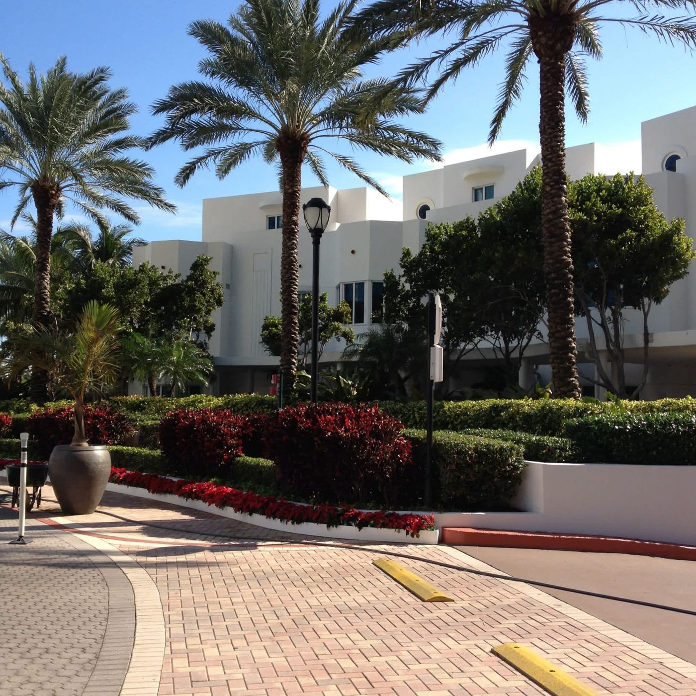 Palm lined drive and white Mediterranean architecture in Coral Gables